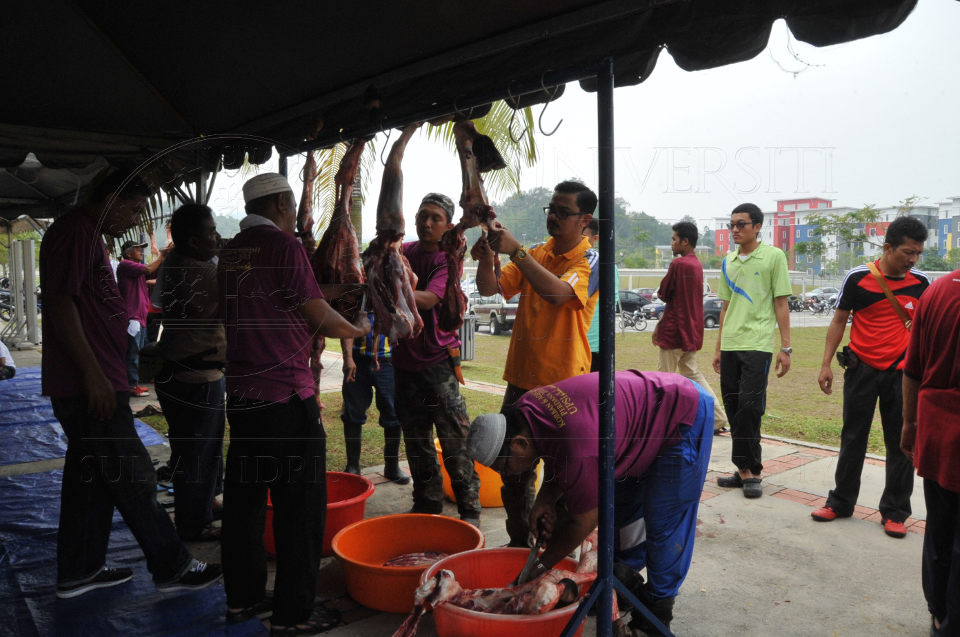 PRO15 150 KORBAN HAS 7012